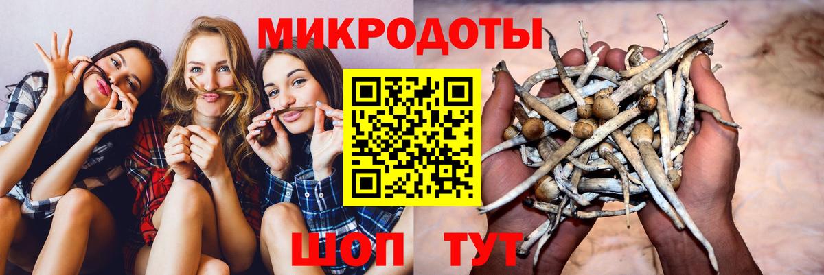 Псилоцибиновые грибы ЛСД  Вход с VPN  Гатчина  Псилоцибиновые грибы Cubensis 