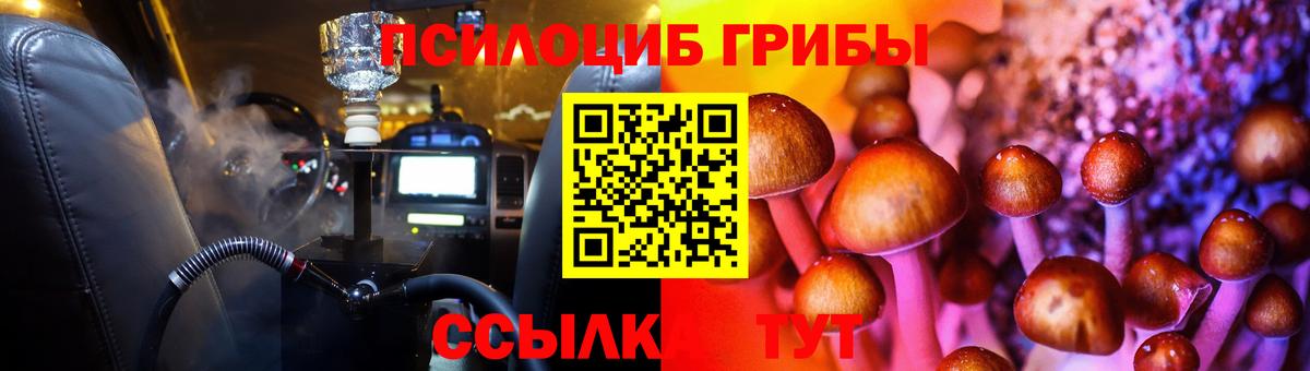 Псилоцибиновые грибы мицелий Гатчина